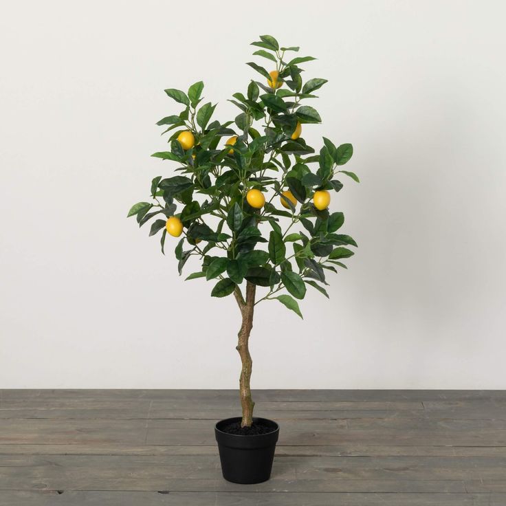LumiLemon Sapling