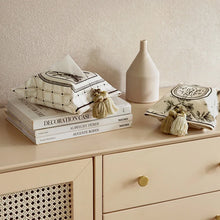 Load image into Gallery viewer, Modern Mythology Velvet Tissue Box Decor