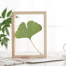 Load image into Gallery viewer, Sawdust Dual View Frames
