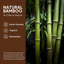 Load image into Gallery viewer, EcoPedestal Plant Stands