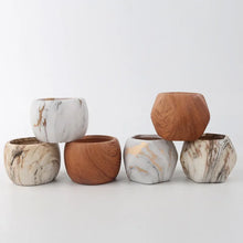 Load image into Gallery viewer, Sprout Haven Mini Pots