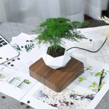 Load image into Gallery viewer, Levitating Aero Planters