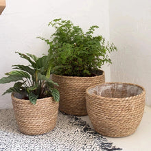 Load image into Gallery viewer, Nature’s Pot Baskets