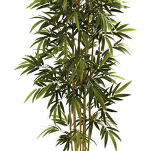 Load image into Gallery viewer, Everstill Bamboo Tree