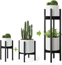 Load image into Gallery viewer, EcoPedestal Plant Stands