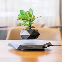 Load image into Gallery viewer, Levitating Aero Planters