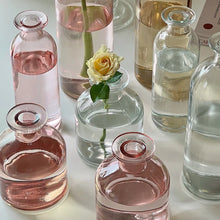 Load image into Gallery viewer, مزهريات مائية من روزيه ديو