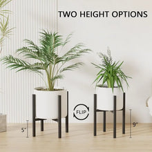 Load image into Gallery viewer, Elevare Plant Stands