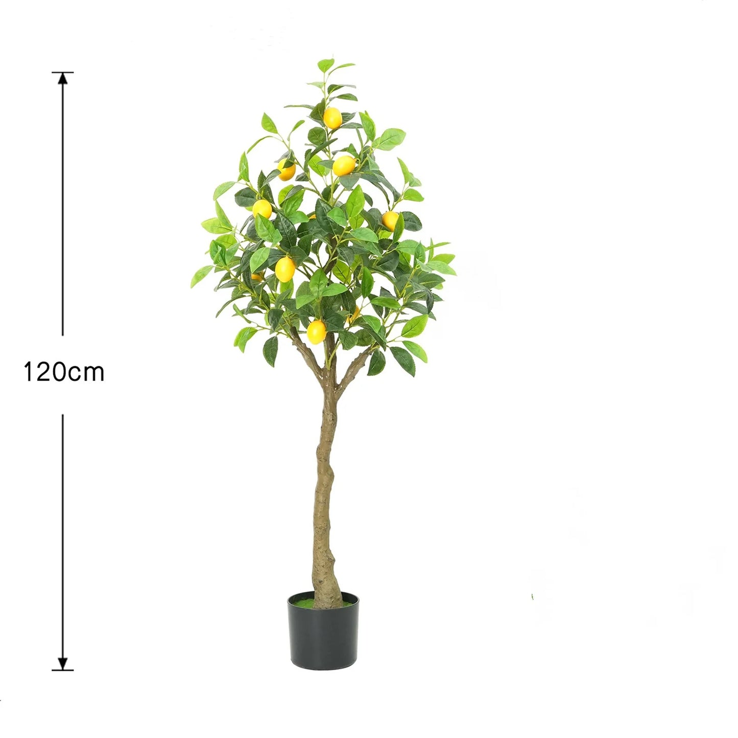 LumiLemon Sapling