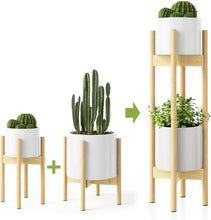 Load image into Gallery viewer, EcoPedestal Plant Stands
