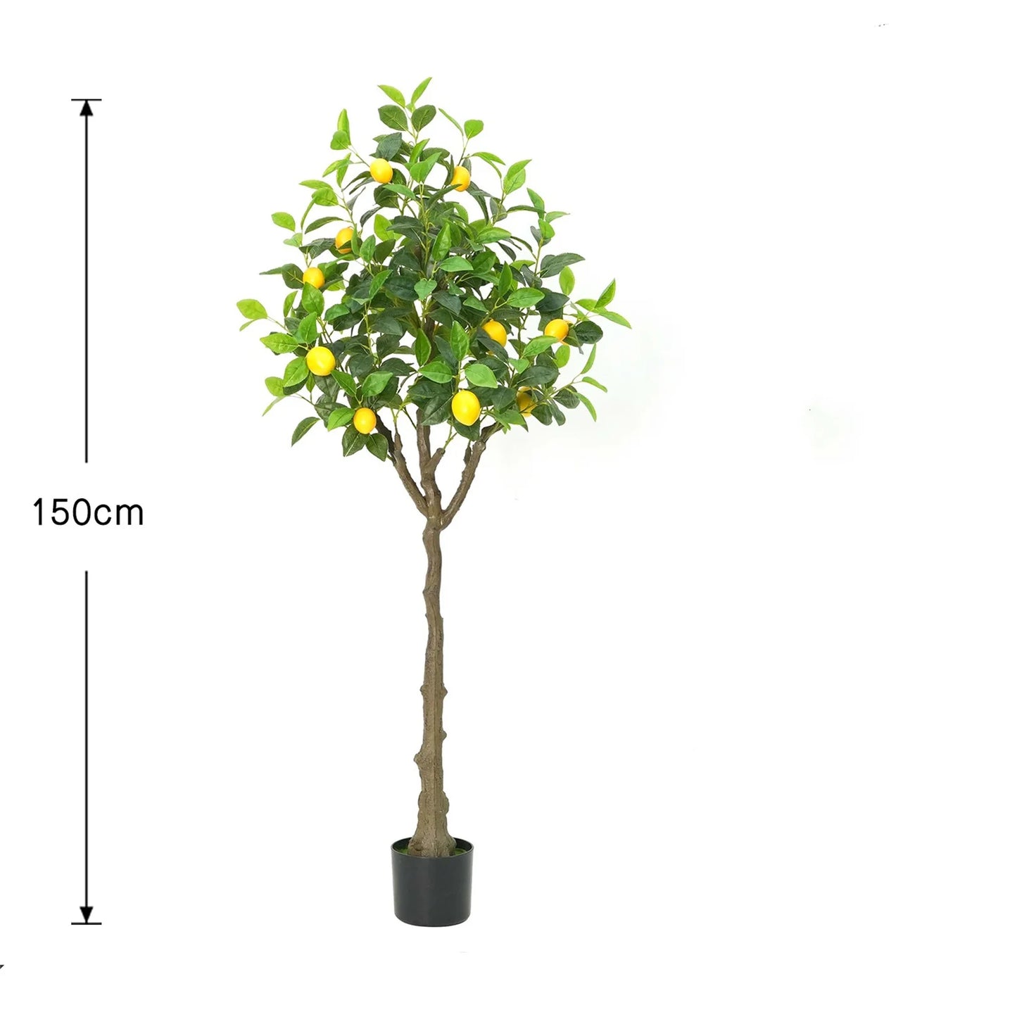 LumiLemon Sapling