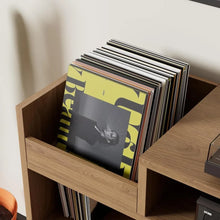 Load image into Gallery viewer, Vinyl Record Stands
