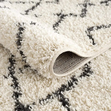 Load image into Gallery viewer, Kilim Farmhouse Area Rug
