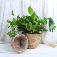 Load image into Gallery viewer, Nature’s Pot Baskets