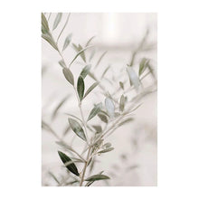 Load image into Gallery viewer, 46057236365551|46057236693231|46057236758767|46057237086447