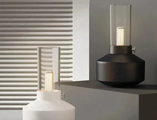 Load image into Gallery viewer, Industrial Bulb Diffusers