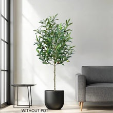 Load image into Gallery viewer, Olive Branch Sapling