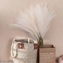 Load image into Gallery viewer, Boho Breeze Pampas