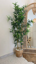 Load image into Gallery viewer, Everstill Bamboo Tree