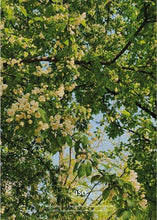 Load image into Gallery viewer, Blossoms and Verses Wall Art