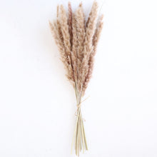 Load image into Gallery viewer, بامباس مجففة طبيعية