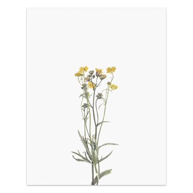 Wild Flower Wall Art