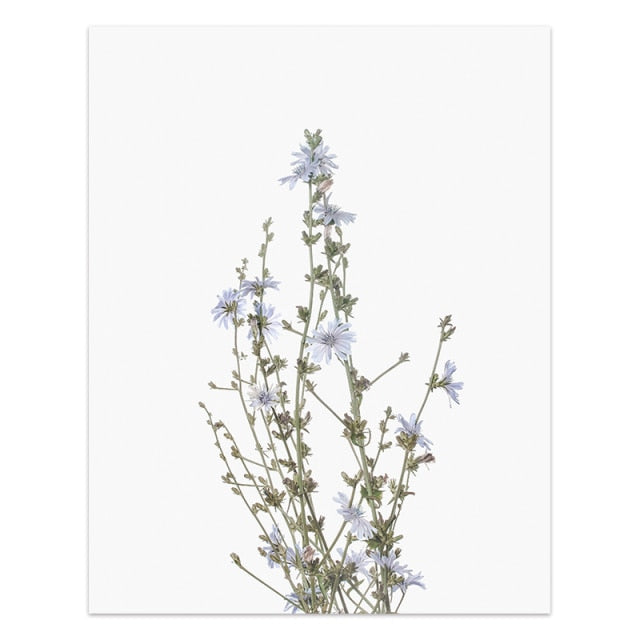 Wild Flower Wall Art