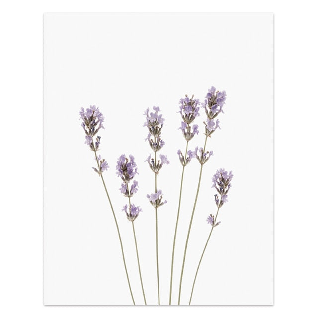 Wild Flower Wall Art