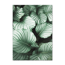 Load image into Gallery viewer, Copses Sage Wall Art
