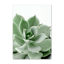 Load image into Gallery viewer, Copses Sage Wall Art