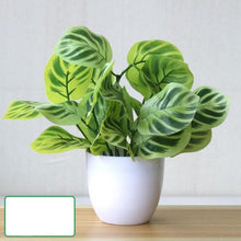 Load image into Gallery viewer, Perpetual Pathos Plants