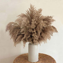 Load image into Gallery viewer, Natural Dried Pampas
