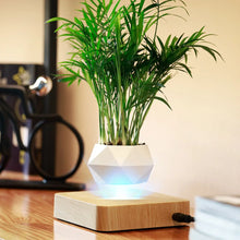 Load image into Gallery viewer, Levitating Aero Planters
