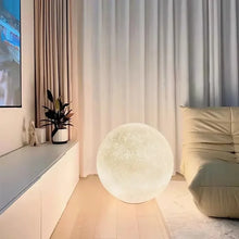 Load image into Gallery viewer, Bare Moon Floor Lamps
