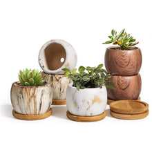 Load image into Gallery viewer, Sprout Haven Mini Pots
