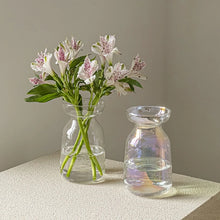 Load image into Gallery viewer, Iridescent Glass Vases
