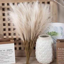 Load image into Gallery viewer, Boho Breeze Pampas
