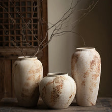 Load image into Gallery viewer, TerraBelle Rustic Vases
