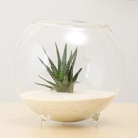 The Botanica Orb Collection
