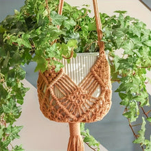 Load image into Gallery viewer, Fiorina Plant Hangers

