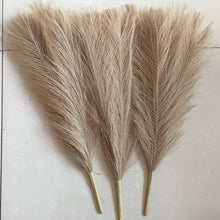 Load image into Gallery viewer, Pampas Fizz Sticks
