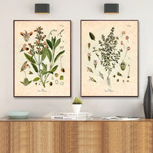 Load image into Gallery viewer, Retro Spices Wall Art
