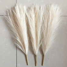 Load image into Gallery viewer, Pampas Fizz Sticks
