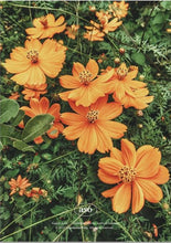 Load image into Gallery viewer, لوحة فنية جدارية بعنوان &quot;أزهار وآيات&quot;
