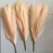 Load image into Gallery viewer, Pampas Fizz Sticks
