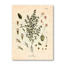 Load image into Gallery viewer, Retro Spices Wall Art
