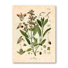 Load image into Gallery viewer, Retro Spices Wall Art
