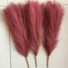 Load image into Gallery viewer, Pampas Fizz Sticks
