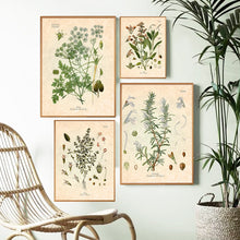 Load image into Gallery viewer, Retro Spices Wall Art
