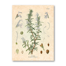 Load image into Gallery viewer, Retro Spices Wall Art
